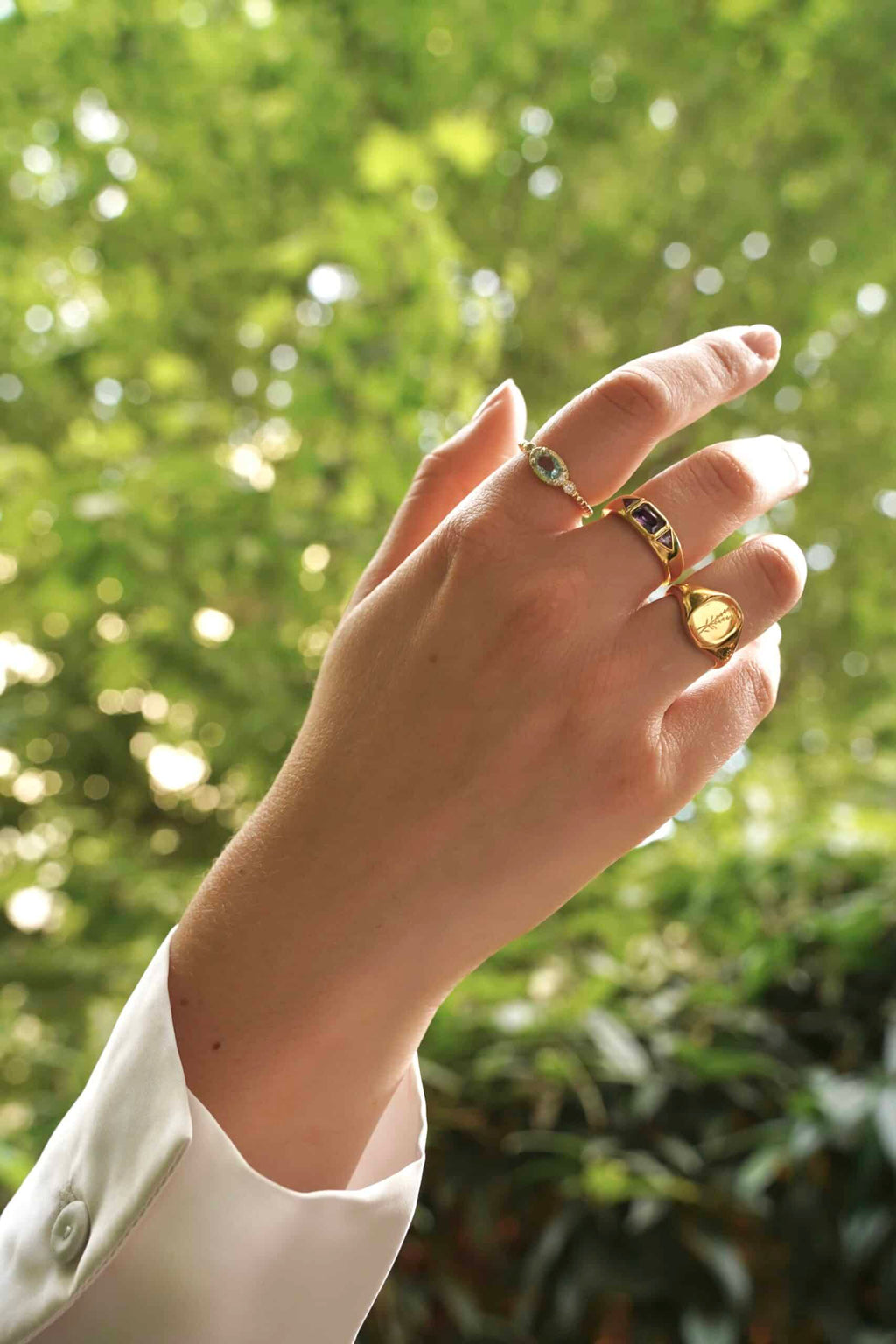 Anillos